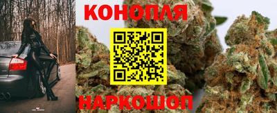 прущие крисы Кунгур
