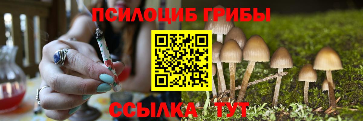 Галлюциногенные грибы GOLDEN TEACHER Йошкар-Ола