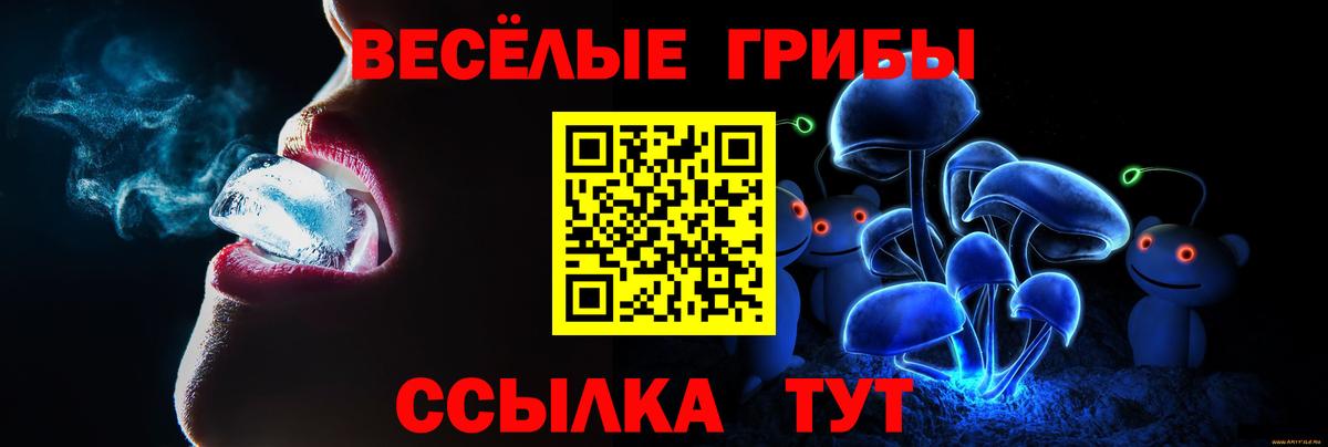 Псилоцибиновые грибы MAGIC MUSHROOMS  Вход с VPN  Галлюциногенные грибы Cubensis  Йошкар-Ола 