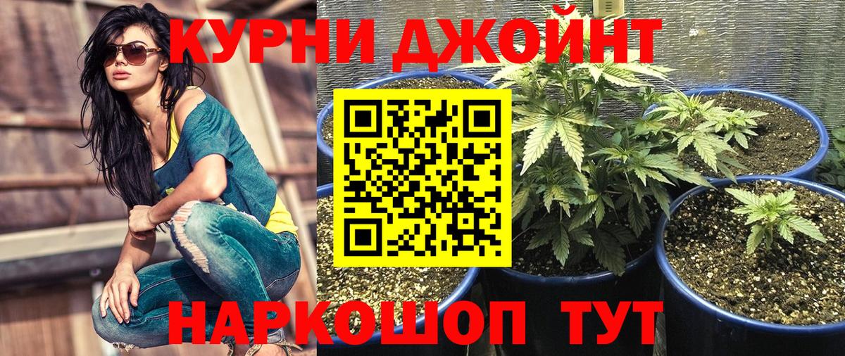 Бошки марихуана AK-47  Вход с VPN  Марихуана White Widow  Марихуана марихуана  Йошкар-Ола 